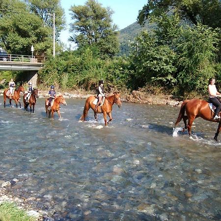 Crotto Caraco Appartamenti Bungalow Chalet Porlezza Luaran gambar